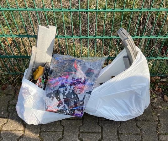 Schüler sammeln Müll der Umwelt zu liebe